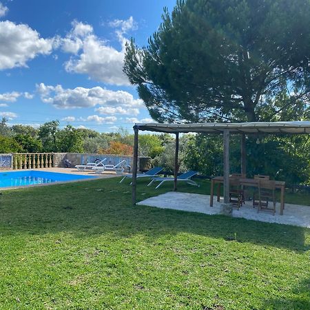 Casa Da Eira - Villas De Campo Ferreira do Zêzere Esterno foto